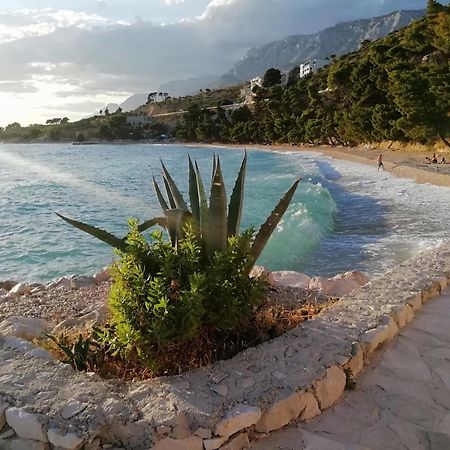 Apartment 70 M From The Beach Podgora Room photo